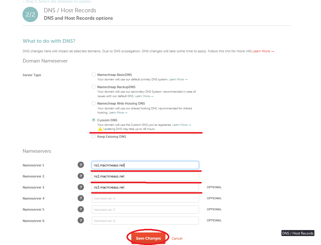 domain_DNS_hostrecords_2.png